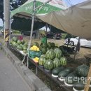 신엄농산물 직거래장터 이미지