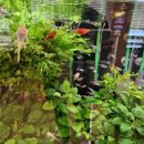 판교점 기아오토큐 이미지