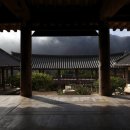 서원 동아일보