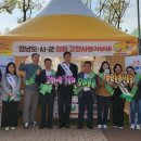 마산가고파 국화축제장 이미지