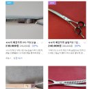 가위닥터사사끼가위 이미지