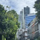 모닝크린 | 태국(10) - 짜뚜짝 시장 구석구석 구경하기(동물시장)