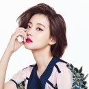 슈어(SURE)