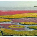 남도삼백리길(4코스) 이미지