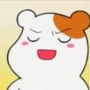 쿠팡 위탁판매 매출 354만원 달성 후기!