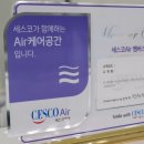 NOBLESSE.PET 이미지