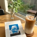 청춘수족관 | 수족관 후기｜상처를 안고 살아가는 사람들에게 조용히 건네는 위로