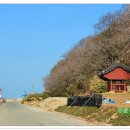 호미목장 이미지