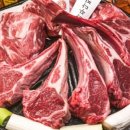 라무다찌 이미지