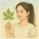 자연생약국 | 당귀잎 효능, 부작용과 먹는법은?