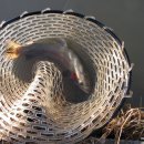 성지골낚시터 이미지