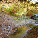 옥당걸숲속관광농원 이미지