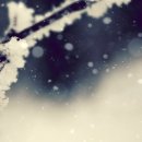 행복 빛으로부터 이미지