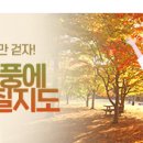 아모렉스관광호텔 이미지