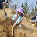 (밤톨)2023.03.29.정관산업단지공동직장- 은하(7세) 이미지