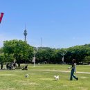 야외음악당 이미지