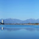 벚꽃길13 이미지