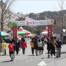 진안천년홍삼