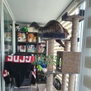 시화한일아파트 이미지