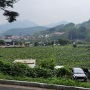 제비식당 이미지