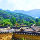 성주 영취산 - 감응사 - 한개민속마을 원점 이미지