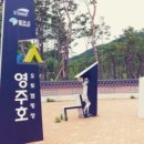 영주호오토캠핑장 이미지