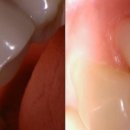 로이스서울치과의원 이미지