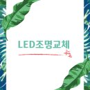 부산신호사랑으로부영 2차 이미지