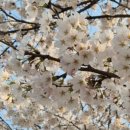 지에스25 원주휴먼시아점 이미지