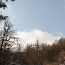 흥부골자연휴양림 이미지