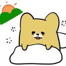 딸기펫살롱 이미지