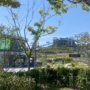 용궁사입구 삼거리 이미지