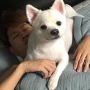 크러쉬투