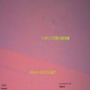 Pet 5987 네이버블로그