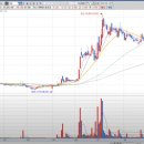 힐스톤 B 이미지