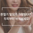 웰킨두피탈모센터 이미지