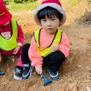 꽃잎반 고구마 체험 & 단풍잎 사진 찍기 이미지