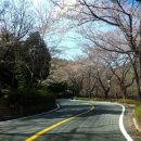 안민고개 정상 이미지