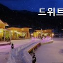 드위트리 풀빌라펜션 & 카라반가든 이미지