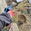 미선농장 2 이미지