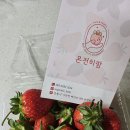 느루농장 이미지