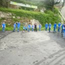 정도태권스쿨 이미지