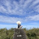 루비 1번가 | 강아지랑 제주도 여행 Day.2 [제주빵집/새별오름/사계해안/소색채본/협재라면1번가/애월밤바다/달빛명월...