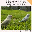 한상태농장 | [앵무새 카페 아마조나 후기]동물농장 앵무새 카페 까마귀 마기 출연한 카페 다녀온 후기