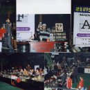 더세이커 Daum카페