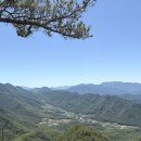 금수산