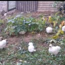 학성농장 이미지