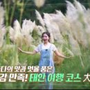 마당이수목원 이미지