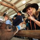 아이러브호주 이미지