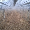 열이농장 이미지